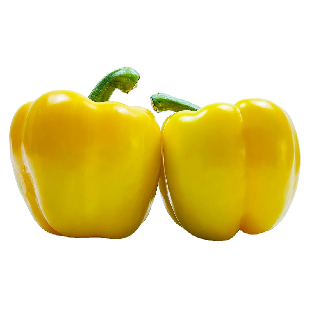 Capsicum/Fresh Red Bell pepper from Vietnam to the best price - VietGAP and GlobalGAP standards