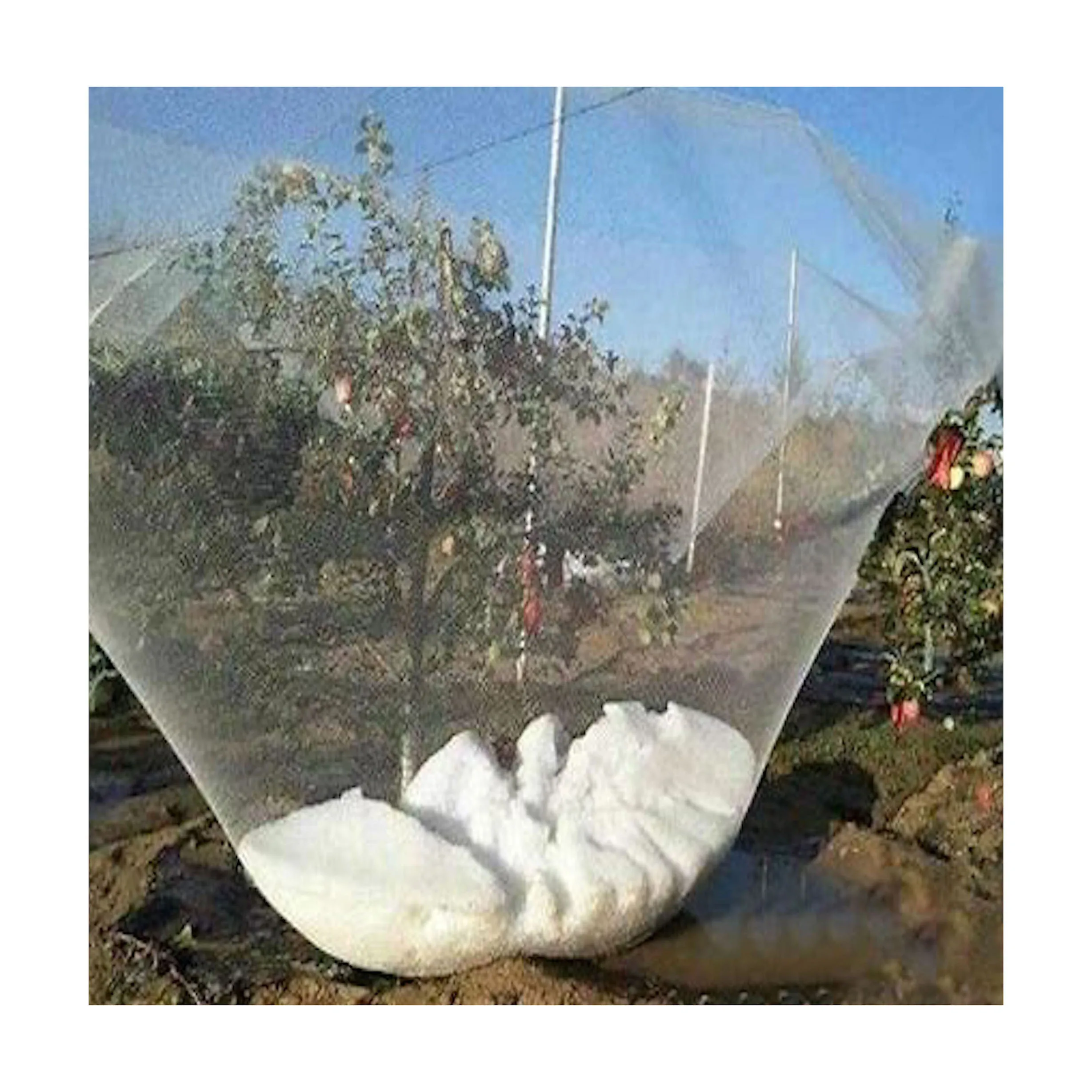 Stabilized anti hail bird net plastic protect netting frost hail round mesh net fruit net protection