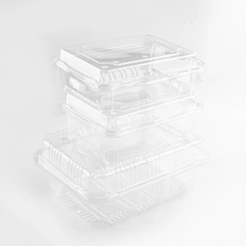 PET clamshell takeaway box plastic disposable hinged fruit container with lid for supermarket