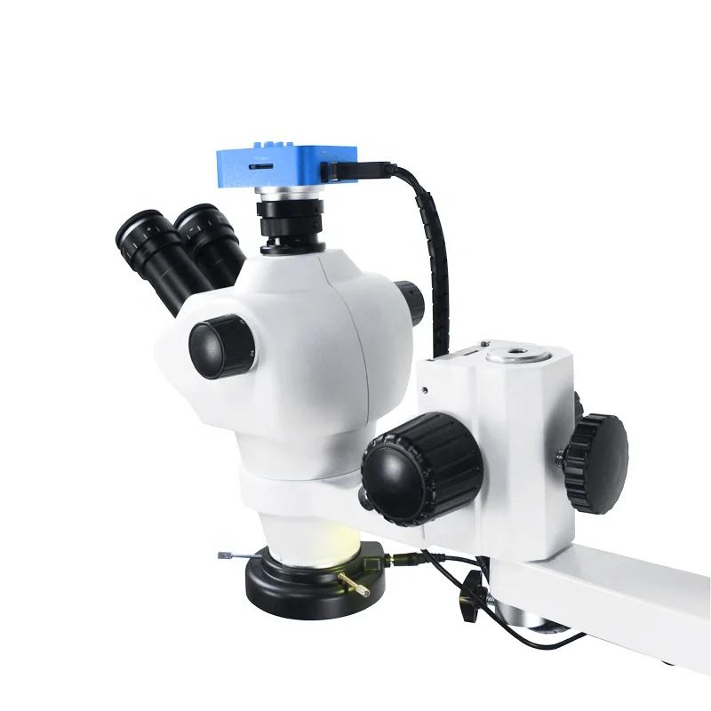 China Dental Operating Microscope Endodontie oral Stereo Dental digital lap Microscope with camera