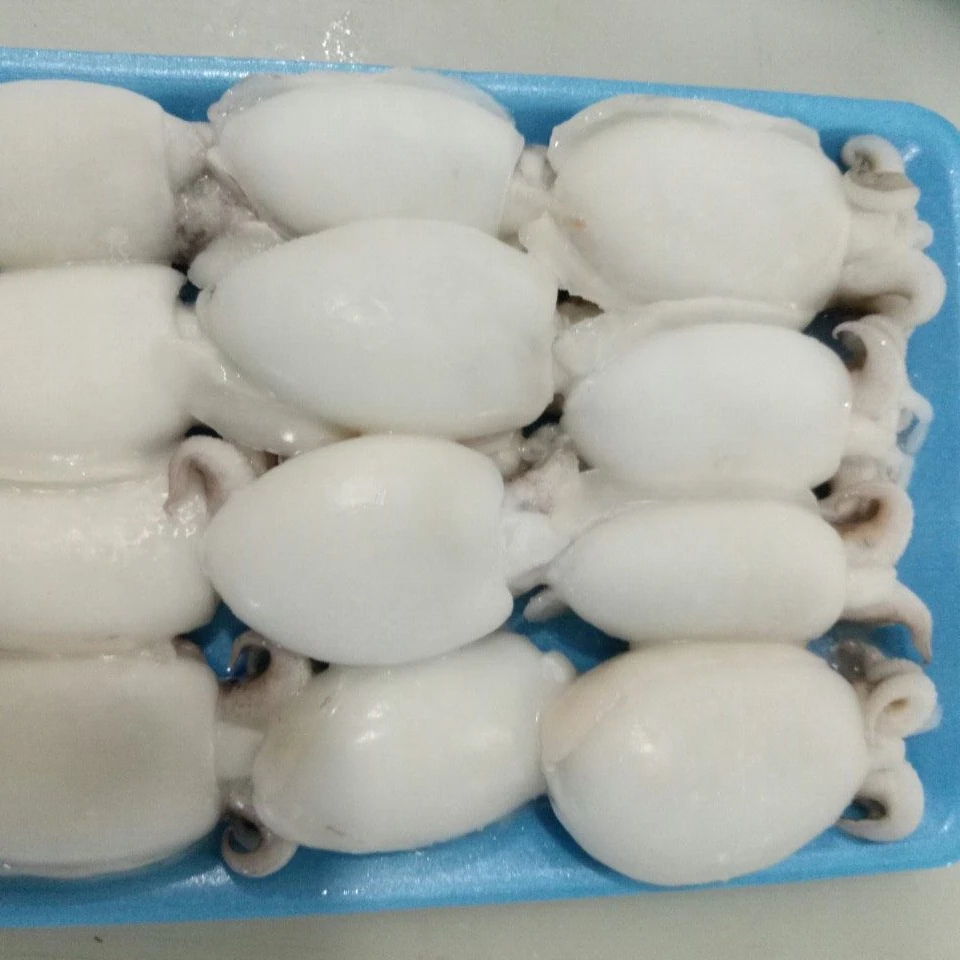 Хит продаж по лучшей цене Замороженные Очищенные шлёбы из