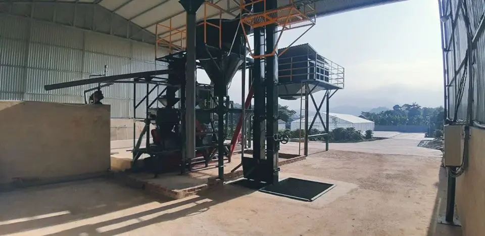 Hight quality of Commercial Konnai Espresso bean from Viet Nam