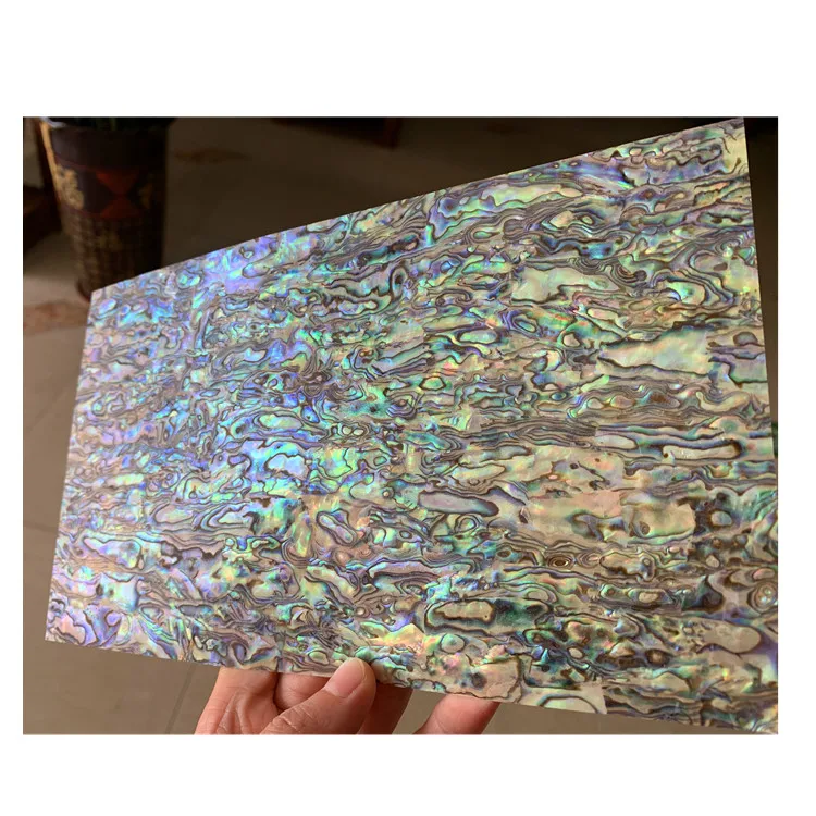 Special price mexico abalone shells decorative paper wholesale
