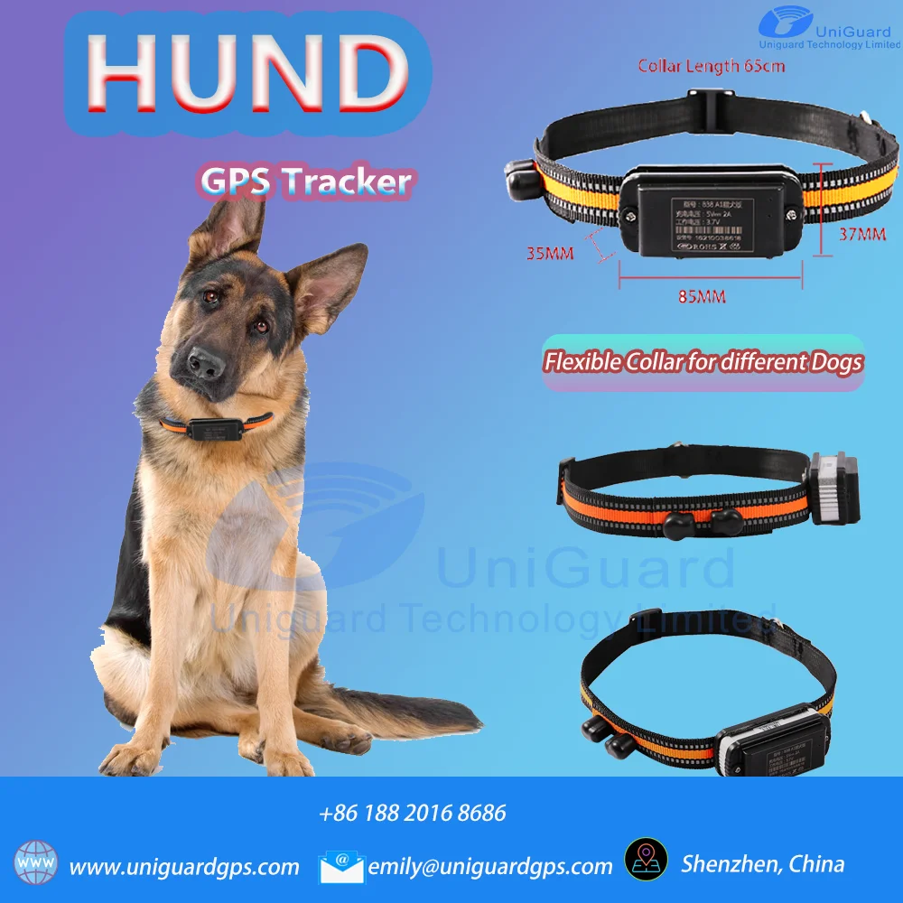 No subscription no monthly fee 4g gps tracker dogs pet smart tracker gps locator tracking for dog cat anti lost locator dog