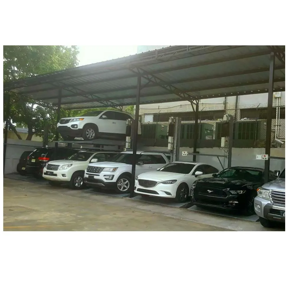 Two Post Car storage parking lift for home garage for sedans and SUV