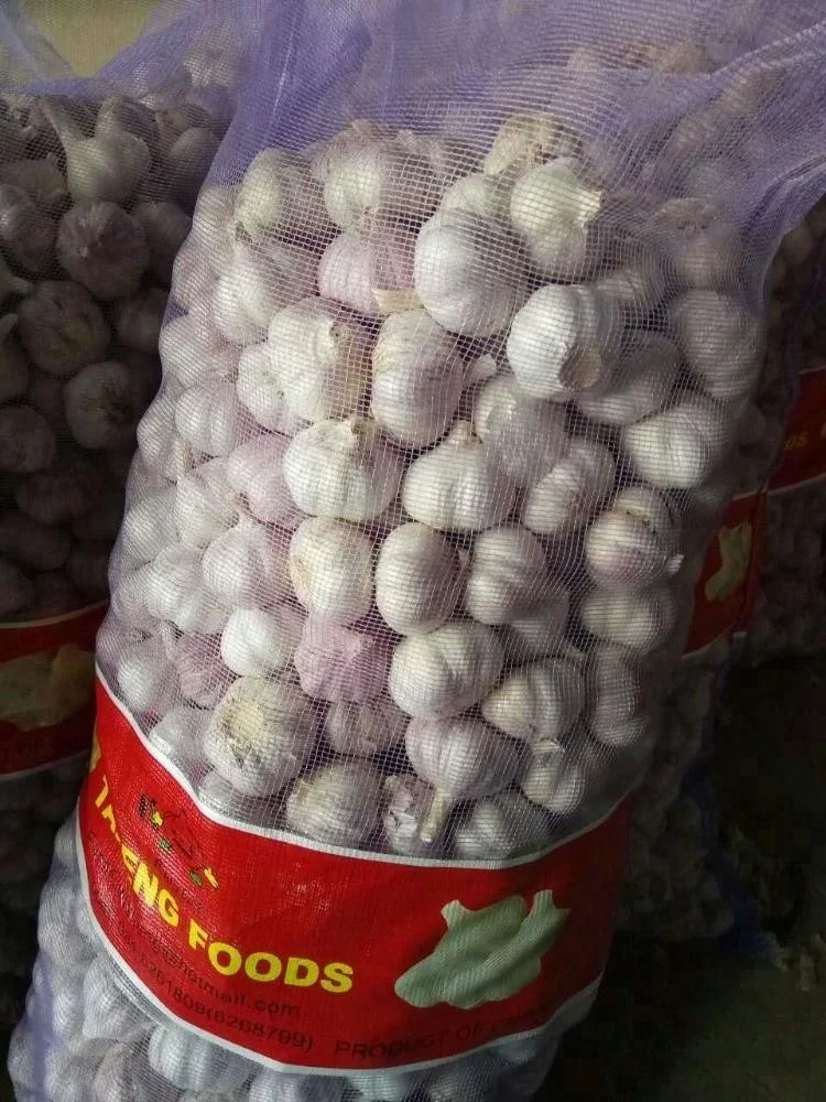 2021 new crop 5.5cm 5kg mesh bag packing pure white garlic
