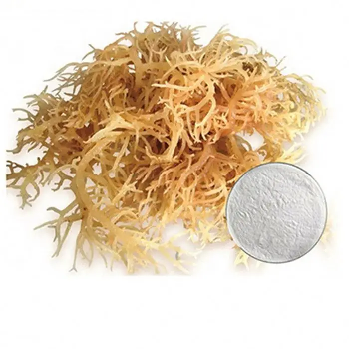 Agar agar food grade white powder 9002-18-0