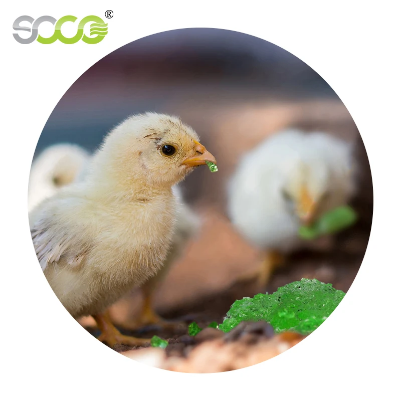 Potassium Polyacrylate Sap Water Hydrogel Agriculture Super Water Absorbent Polymer for Chick Rehydration