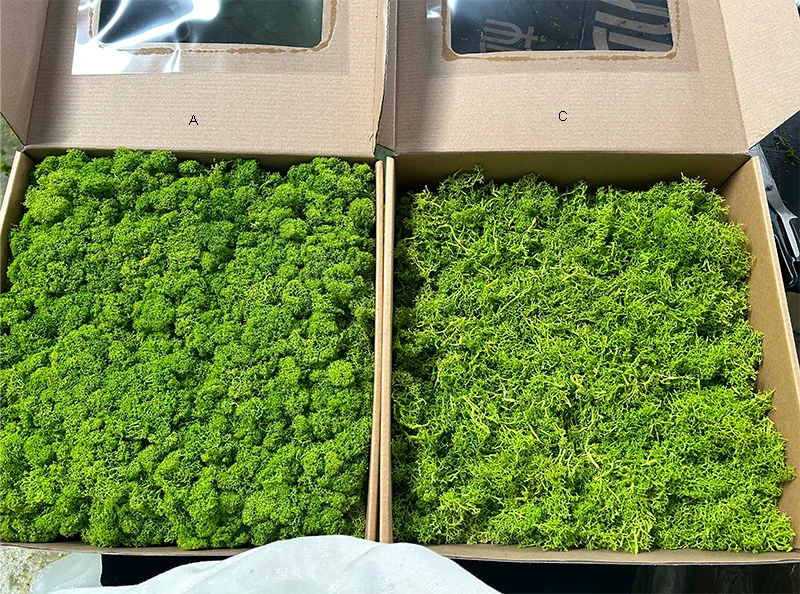 Factory Wholesale Interior Decoration Office Green Wall Panels Reindeer Preserved Moss