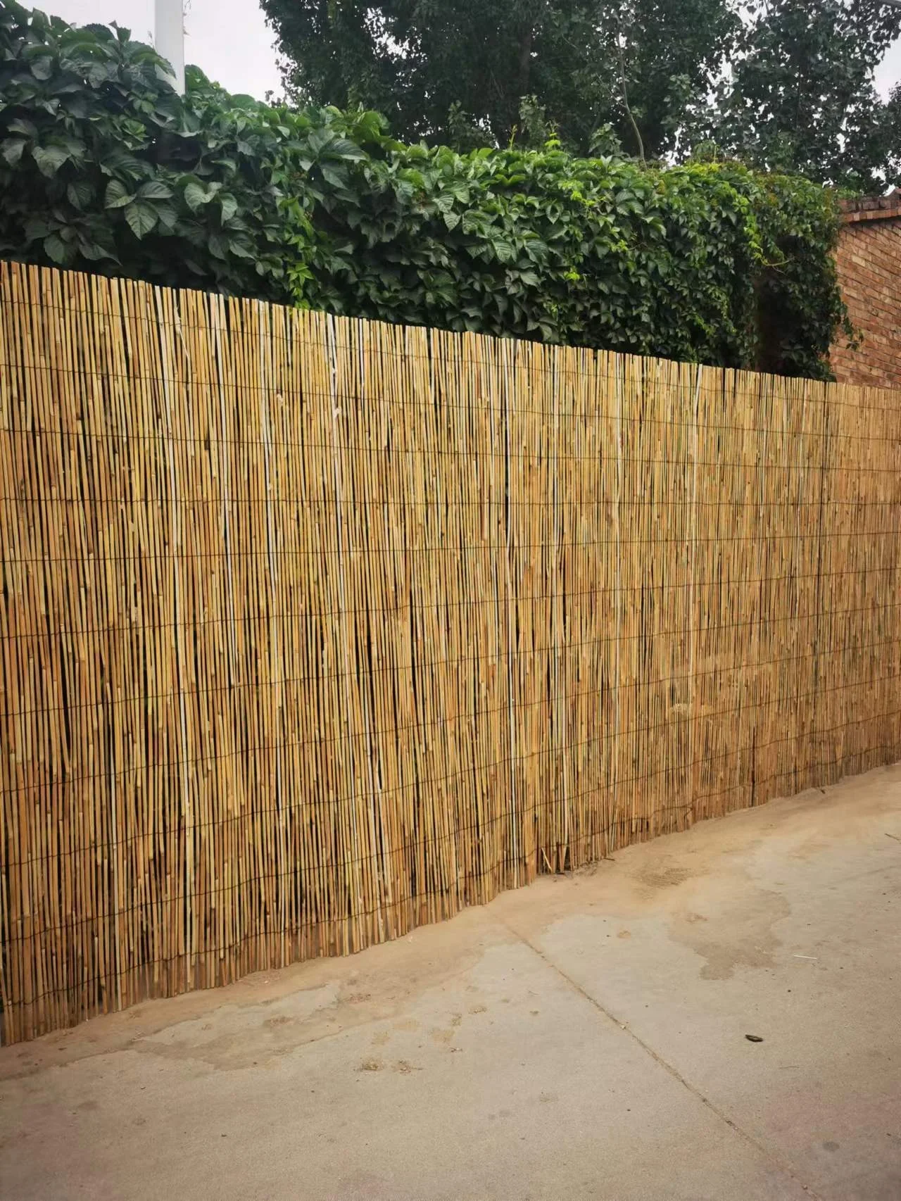 China factory  Cheap Panel fence  Yard Split  Reed  Fencing Garden Natural