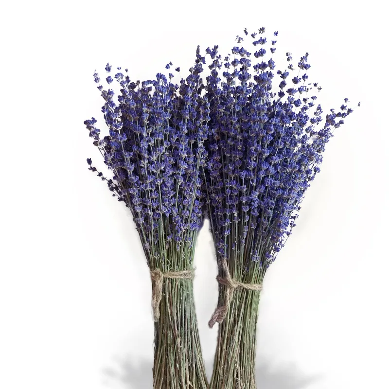 D-BF009 фиолетовый сухой цветок бледно-лиловый Vogue Подарок сушеной лаванды сухие цветы для украшения дома