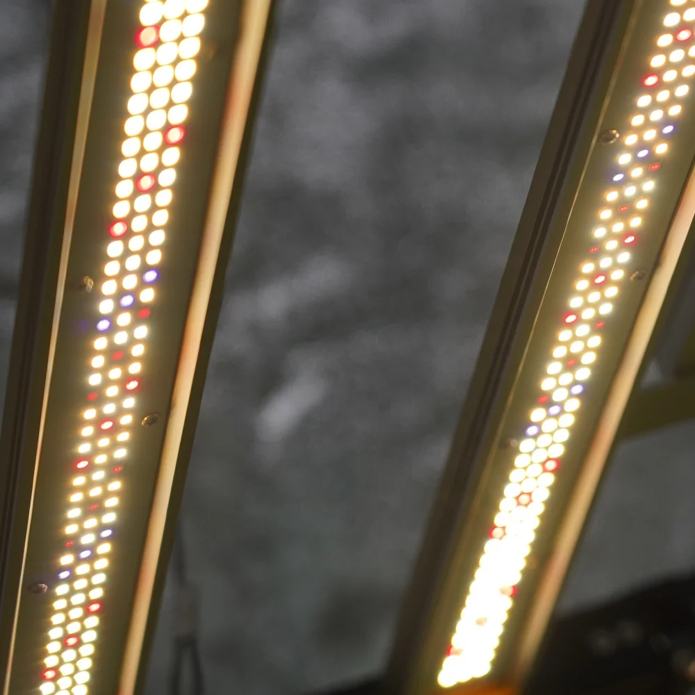 Maaadro 2022 New 240W Grow Tent led grow light, led-grow-light Dimmabl  Plant 660nm Veg Indoor Grow Led Light