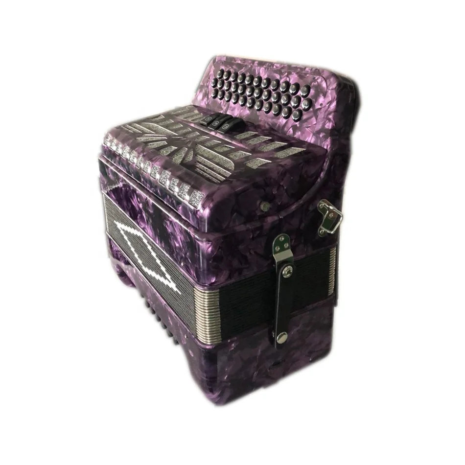 34 кнопки, 12 басов, 3 записи, фиолетовый студенческий гармодеон, музыкальные Аккордеоны JB3412B