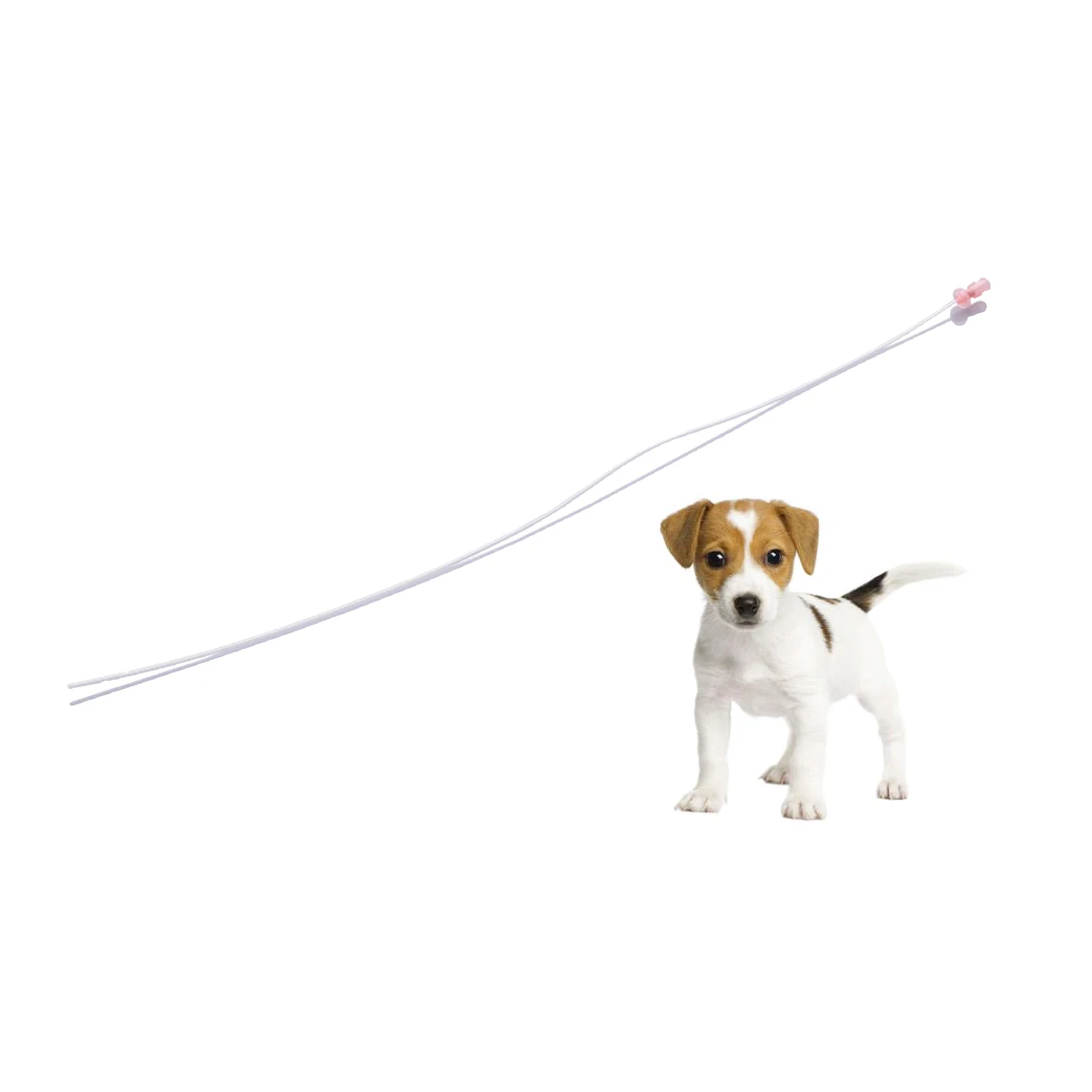 animal urinary catheter feline veterinary urine catheters PVC pet dog cat veterinary urethral catheter with luer lock connector