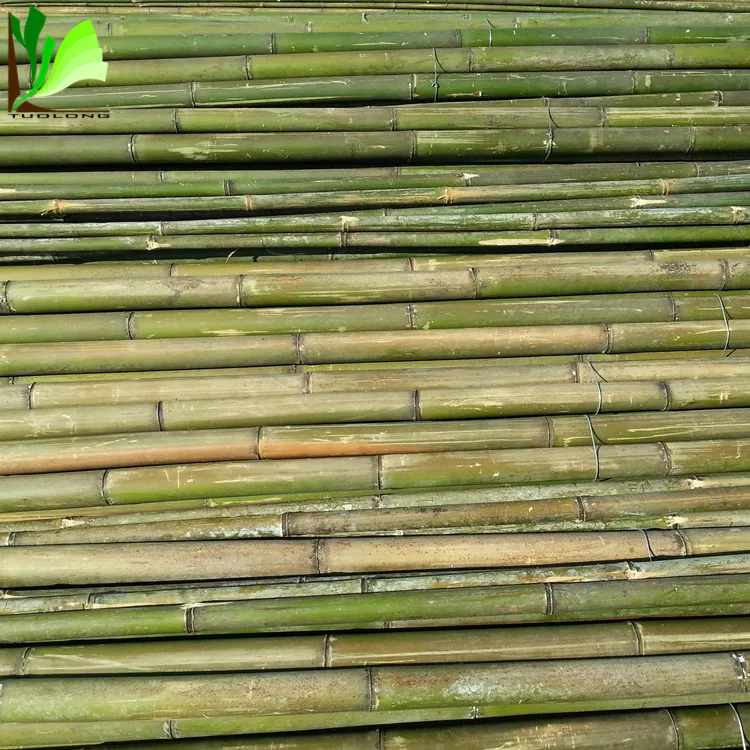 bamboo poles straightening bamboo