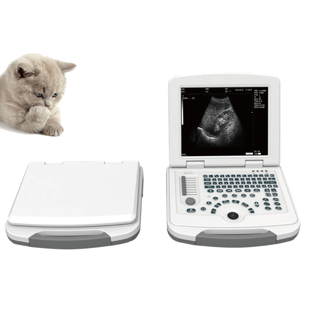 HV-11 медицинский портативный ветеринарный ультразвуковой аппарат ветеринарное образование ноутбук B/W ультразвуковой сканер