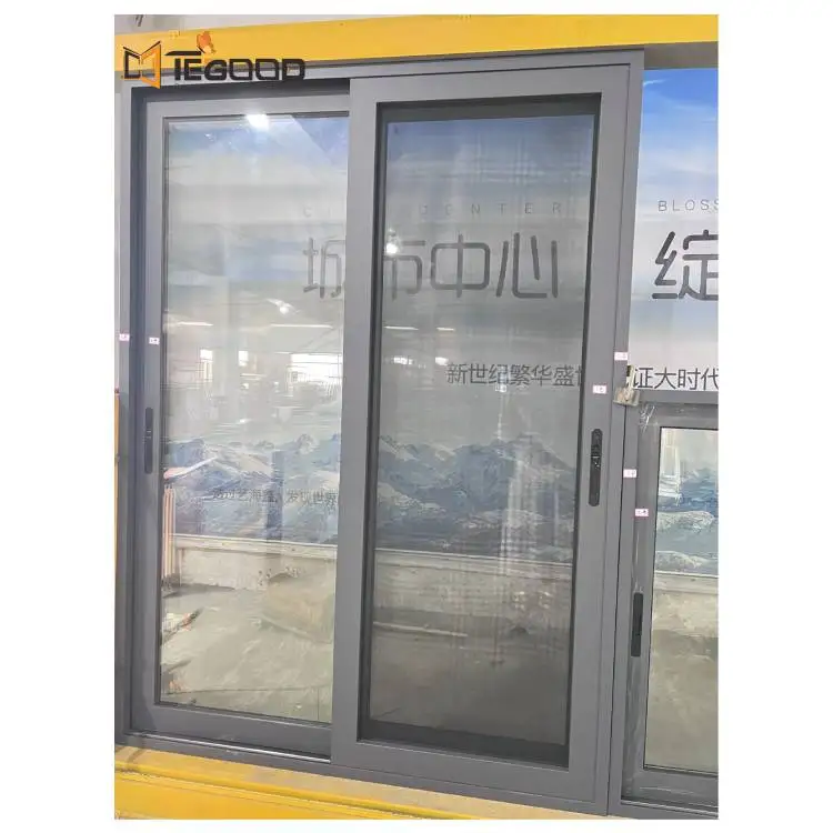 Exterior Aluminum 2 lite Sliding Patio Glass Door