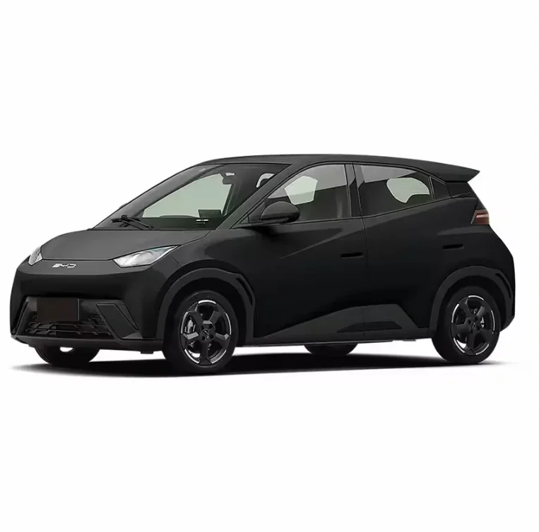 Автомобильная Электроника недорогой маленький внедорожник Чайка 2024 честь 405 км летающая версия электромобили лучший за деньги