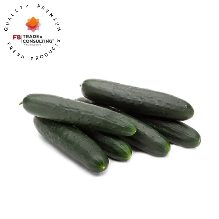 
Fresh Organic American Silcer Cucumber 