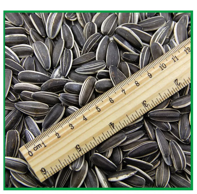 China Factory High Quality  Confectionary Bakery Big Size Bulk Sunflower Kernels Seeds