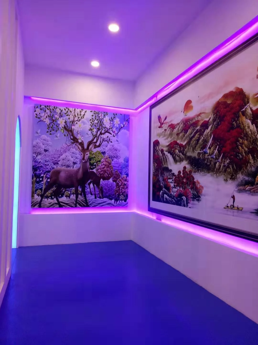 1800mm 2000mm 2700mm Height Print 3D Wall Painting Machine Wall Inkjet Printer