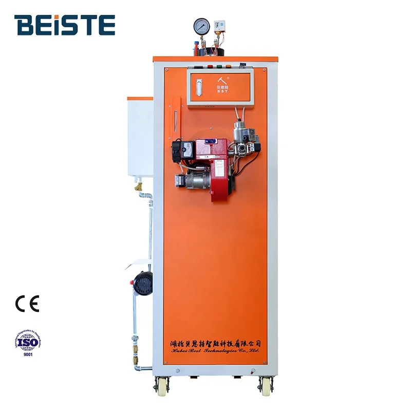 Beiste steam boiler 200 kg per hour 80 kg/h  gas fired boiler 200kg lpg steam generator for  autoclave