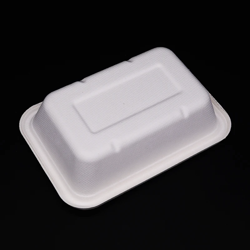 
Biodegradable Sugarcane Bagasse Disposable Takeaway Food Tray with Lid 