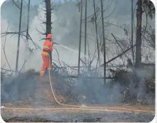 
Portable High Flow Fire Fighting Water Pump, 1.5