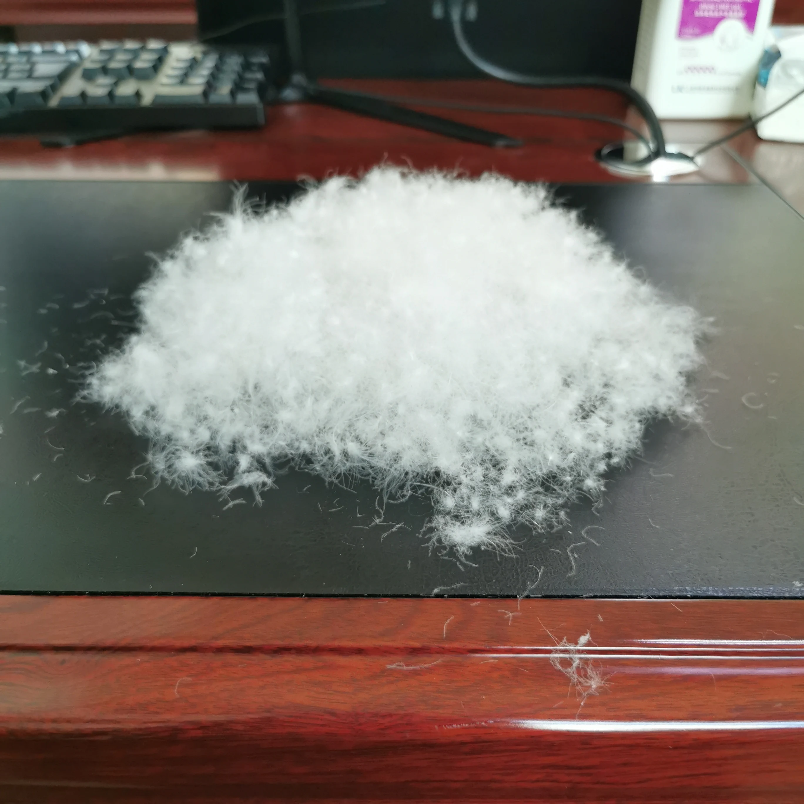 Highly Recommended Goose/Duck Germany Standard Class I DIN EN 12934 70% Washed White Duck Down