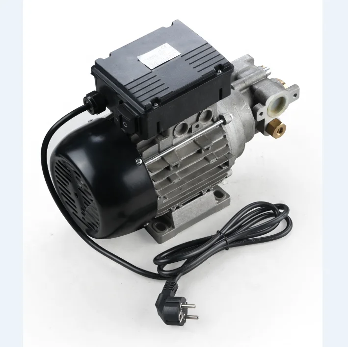 For transferring high viscosity oils electric gear pump AC lubrication oil transfer pump with CE