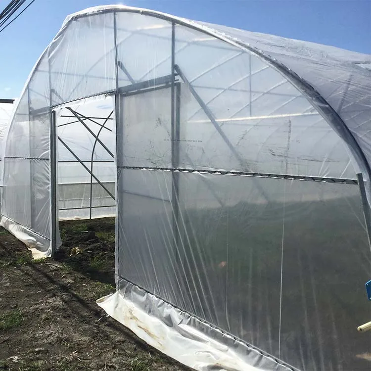 Protecting vegetables growing thailand agricultural greenhouse film tomato hydroponic greenhouse