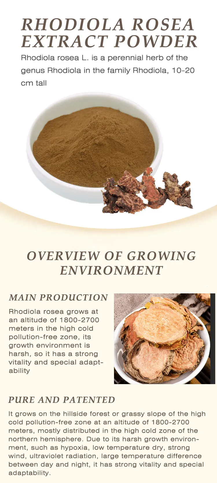 High Quality Salidroside Powder Rhodiola Rosea Root Extract Powder Rhodiola Rosea
