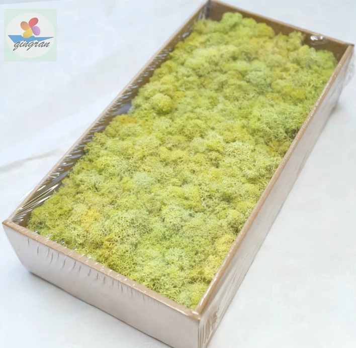 Preserved moss natural and real touch moss 200g and 500g