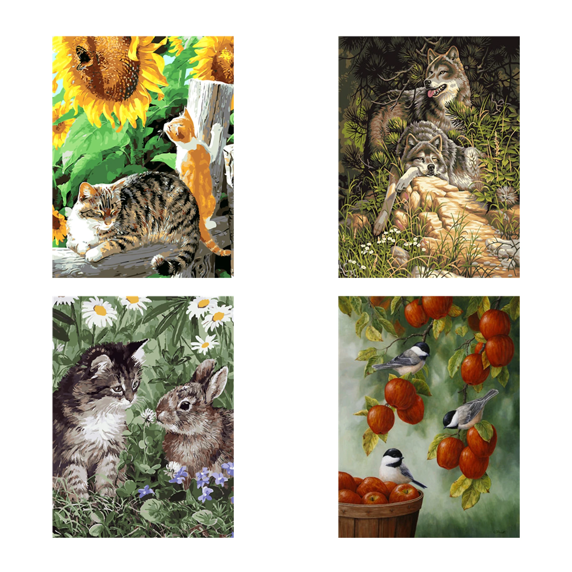 Animals Paint by Numbers DIY Paint by Numbers Cat Wolf Birds Rabbit Oil Painting Set Home Decor Wall Decor Adult Gift Artwork