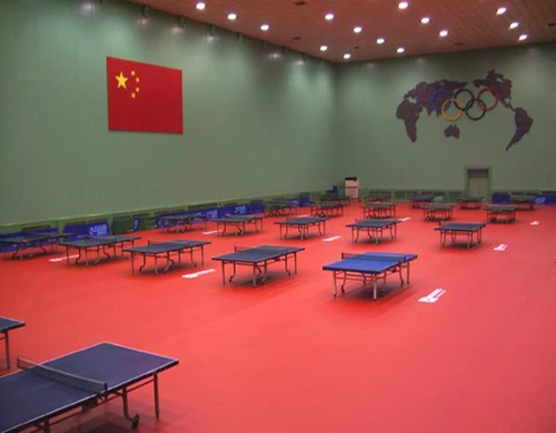 ITTF Table Tennis Mat PVC floor