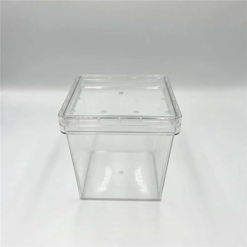 High Quality Lab 75x100mm 120x120mm PP Material   Tissue  culture box