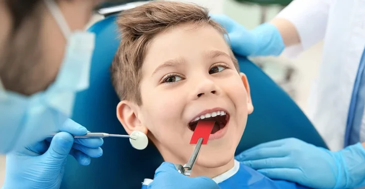 Micron Bite Disposable Y-Shape Articulating Paper in Red/Blue Low Price Wholesale