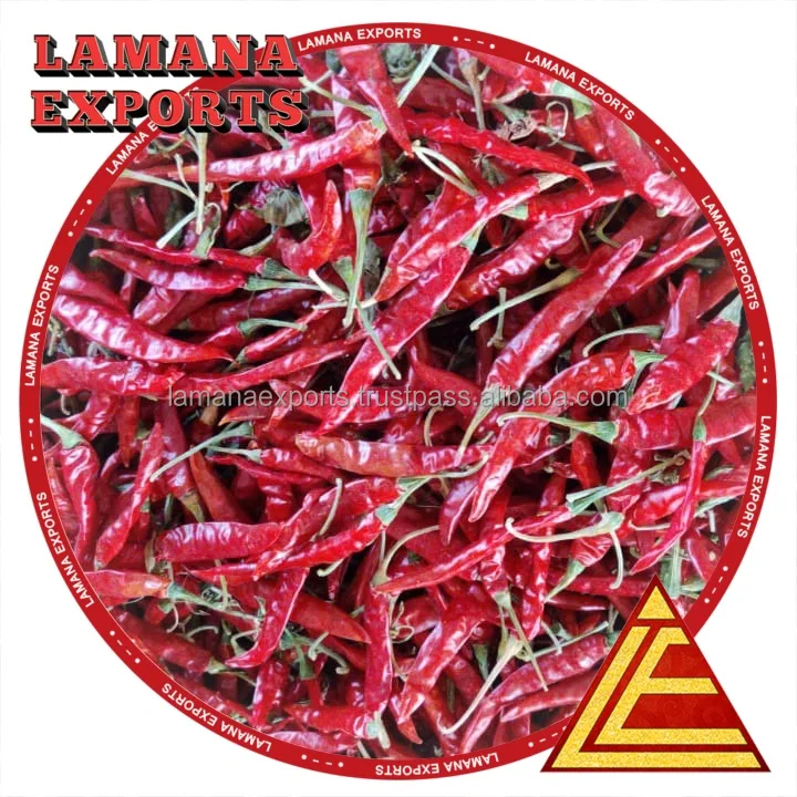 Chilli S17 Teja with Stem India Spicy Dry Red Chili Pepper Single Herbs & Spices New Crop - Dried Raw Stick 0.5% Max 3% Max 10%