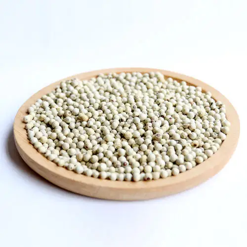 Widely used seasoning spices white pepper add spicy flavor fragrance smelling into noodles soup sausage most cooking styles food