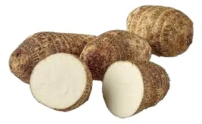 images - 2023-02-20T181608.190.jpg