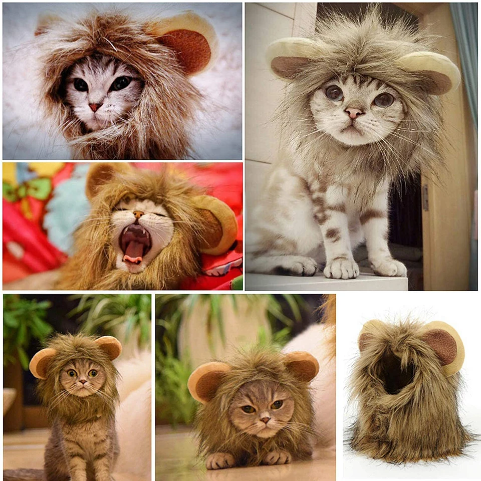 Factory Cute Pet Small Dog Cats Custom Lion Mane Wig Hoods Hat for Cat Dogs