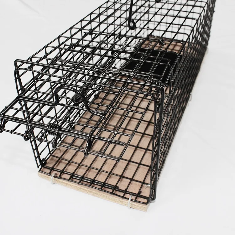 Wholesale Eco-Friendly Square Animal Design Bird Pest Trap Cage for Farm Use-Humane Mouse Wild Boar Python Rats Rabbit Traps