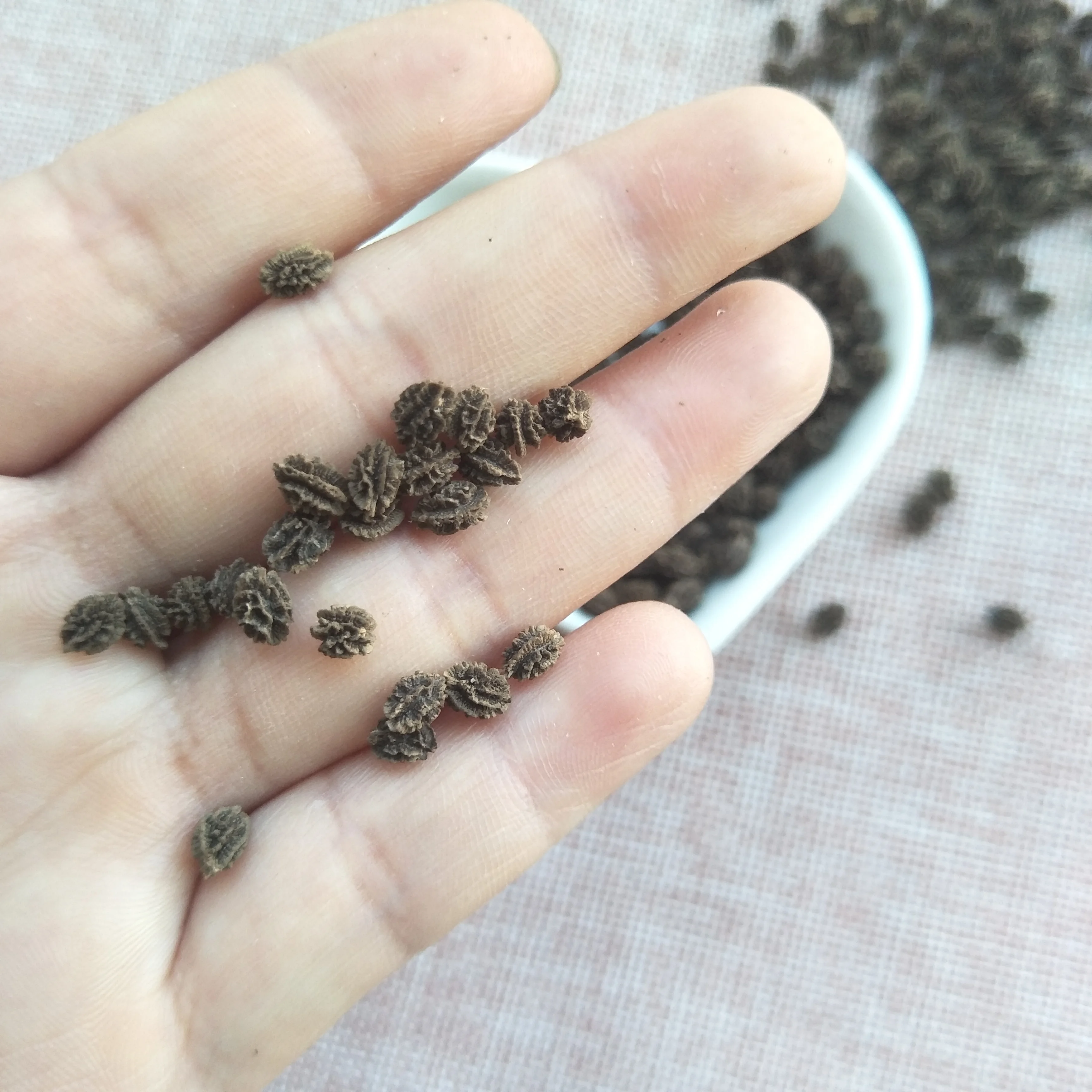 High quality red lady seeds papaya seed for sale