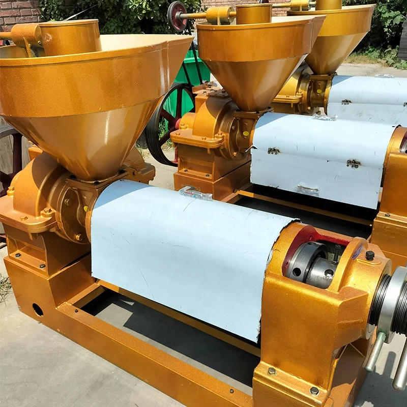 Small Peanut Screw Oil Press Machine for Making Oil from Castor,sesame,mustard,soybean,groundnut/peanut,sunflower,cotton Seeds