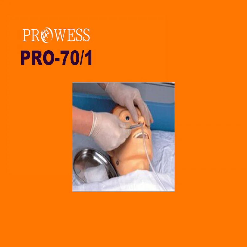 PRO-70/1 Manufacturer advanced silicon nasogastric tube and the trachea model nasogastric fr8 stomach tube teaching simulator