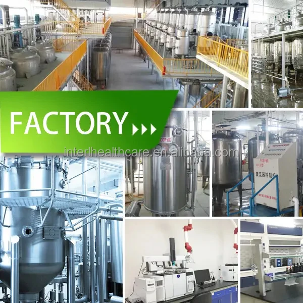 Wholesale Price Salvia Miltiorrhiza Root Extract 98% Cryptotanshinone