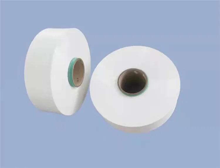 High quality Nylon Yarn  White 100D/40F HOY Nylon Yarn