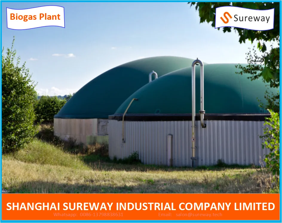Animal Farm 20000m3 Anaerobic Lagoon Biogas Plant