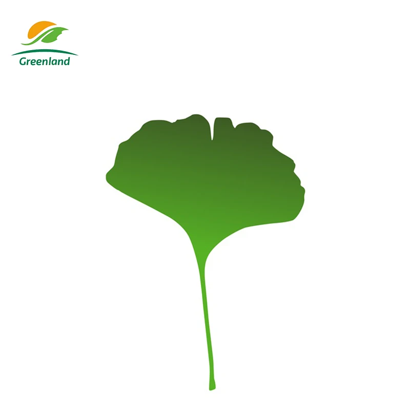 Manufacturer High Quality Ginkgo Biloba Extract Powder 24-6-5 Health Product Raw Material