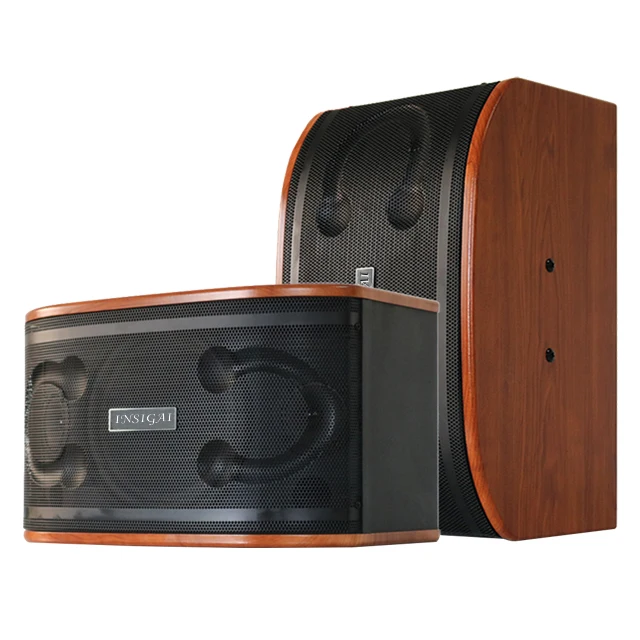 K10E 10 Inch LF 3 Inch HF*2 2-Way Professional Audio Sound Equipment Full-Rang Woofer for DJ Stage Performance 8ohm Impedance